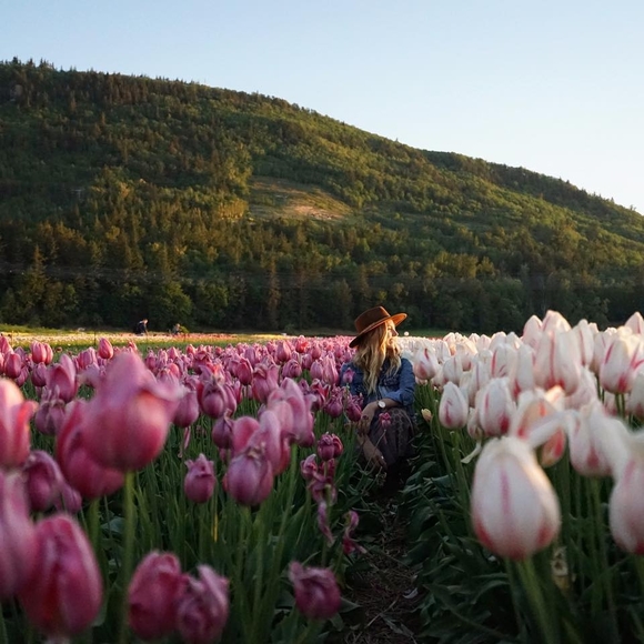 Meet your Posher, Marybeth - Picture 1 of 1